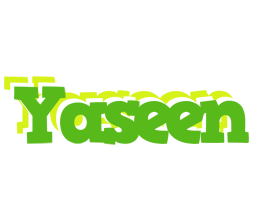 Yaseen picnic logo