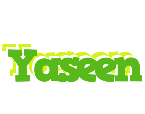Yaseen picnic logo