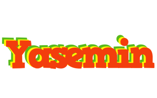 Yasemin bbq logo