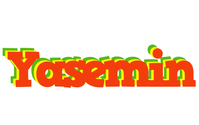Yasemin bbq logo