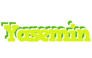 Yasemin citrus logo