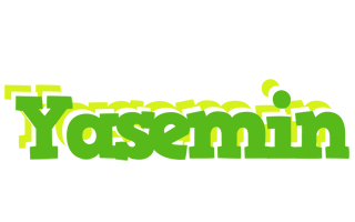 Yasemin picnic logo