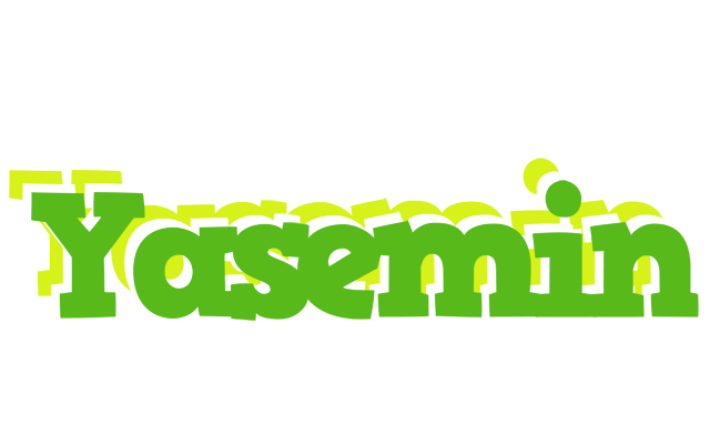 Yasemin picnic logo
