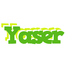 Yaser picnic logo