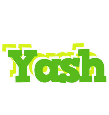 Yash picnic logo