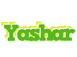 Yashar picnic logo
