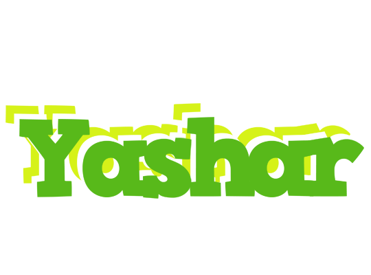 Yashar picnic logo