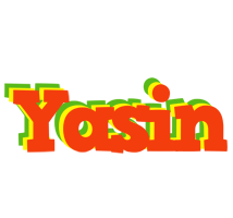 Yasin bbq logo