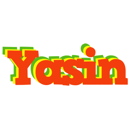 Yasin bbq logo