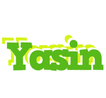 Yasin picnic logo