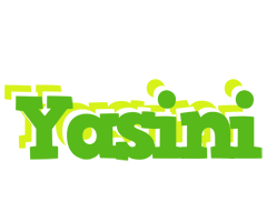 Yasini picnic logo