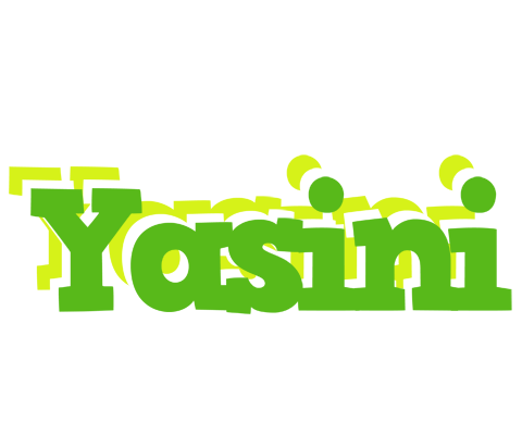 Yasini picnic logo