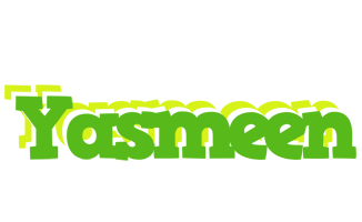 Yasmeen picnic logo