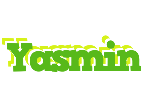 Yasmin picnic logo