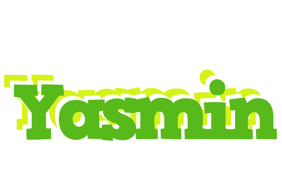 Yasmin picnic logo