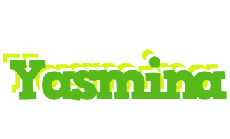 Yasmina picnic logo