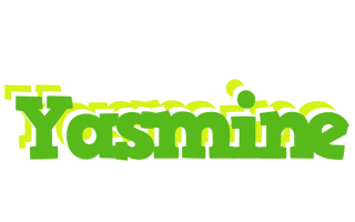 Yasmine picnic logo