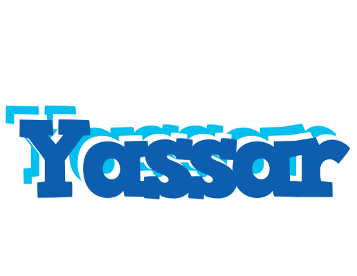 Yassar business logo