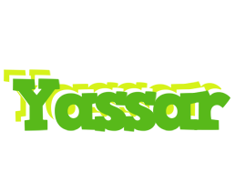 Yassar picnic logo