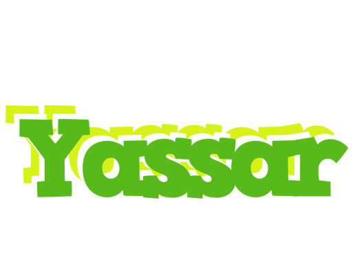 Yassar picnic logo