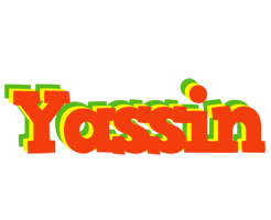 Yassin bbq logo