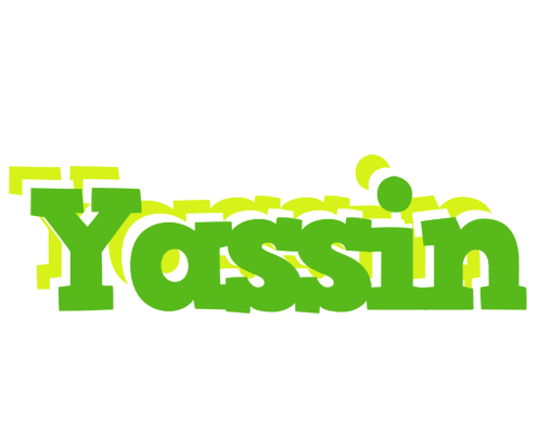 Yassin picnic logo