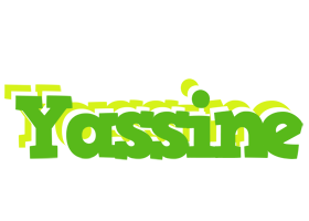 Yassine picnic logo