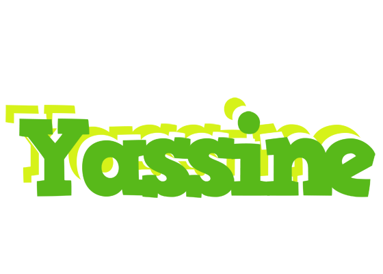 Yassine picnic logo