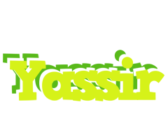 Yassir citrus logo