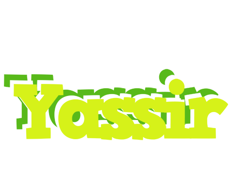Yassir citrus logo