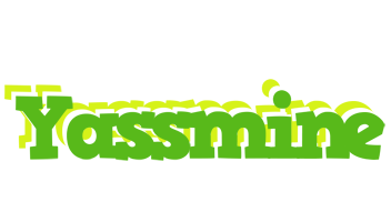 Yassmine picnic logo