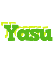 Yasu picnic logo