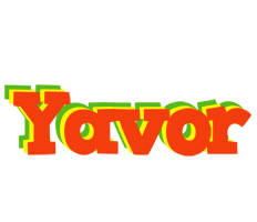 Yavor bbq logo