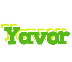 Yavor picnic logo