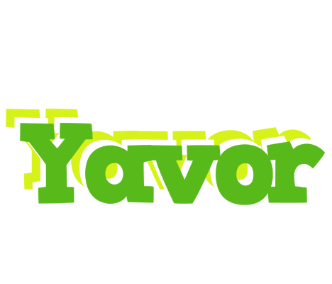 Yavor picnic logo