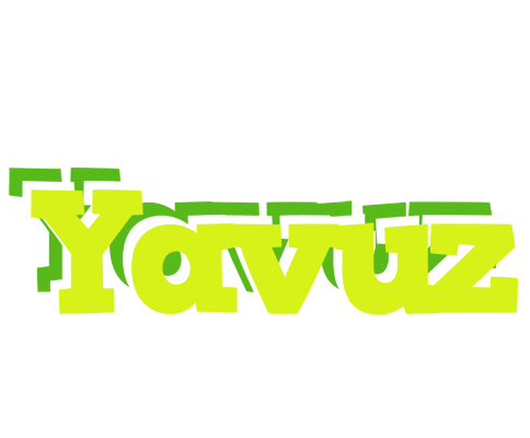 Yavuz citrus logo