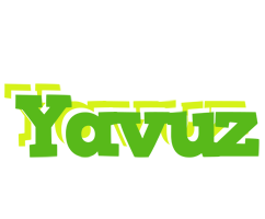 Yavuz picnic logo