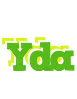 Yda picnic logo