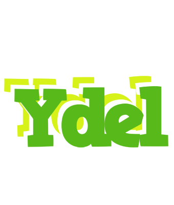 Ydel picnic logo