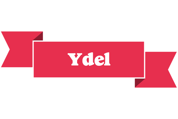 Ydel sale logo