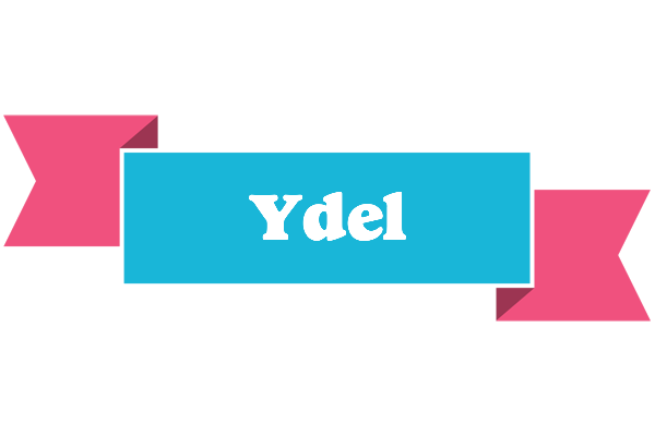 Ydel today logo