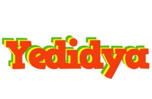 Yedidya bbq logo