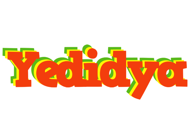 Yedidya bbq logo