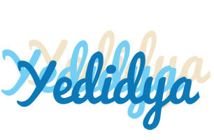 Yedidya breeze logo