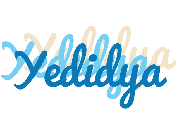 Yedidya breeze logo