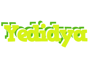 Yedidya citrus logo