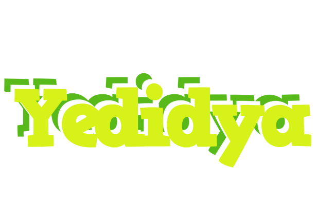 Yedidya citrus logo