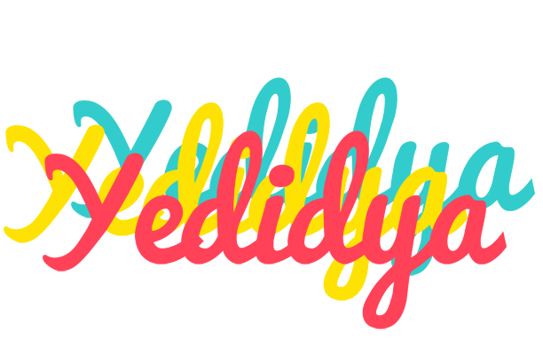 Yedidya disco logo
