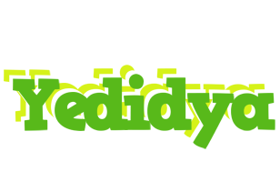 Yedidya picnic logo