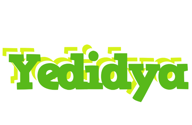 Yedidya picnic logo